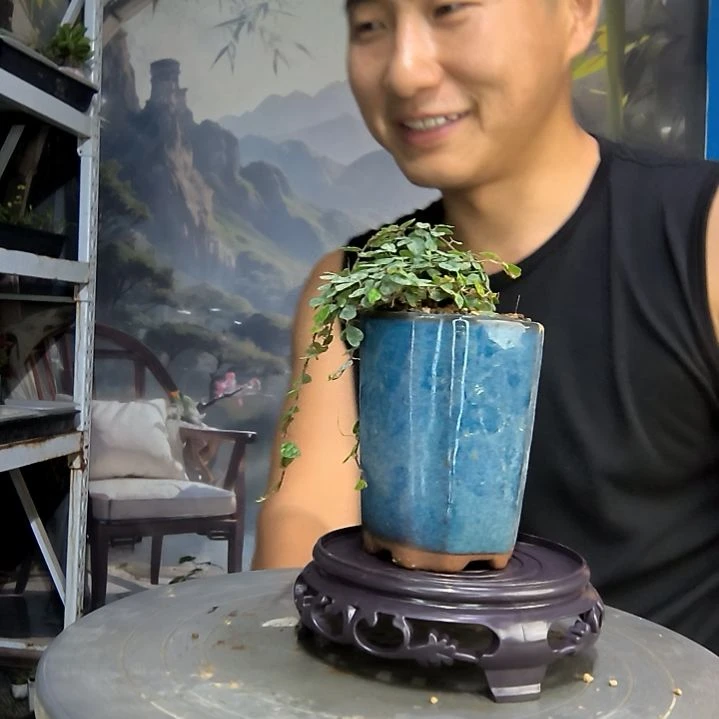 用****8中青园艺一物一拍104