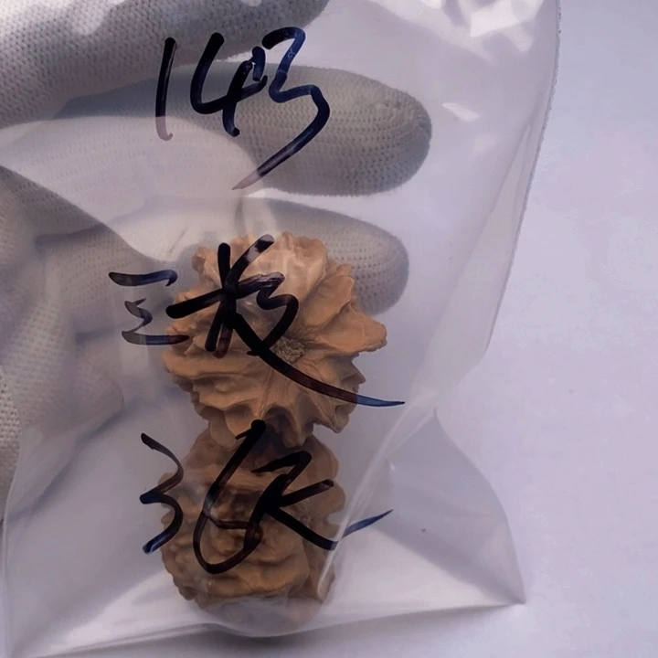 吊坠文玩核桃三棱