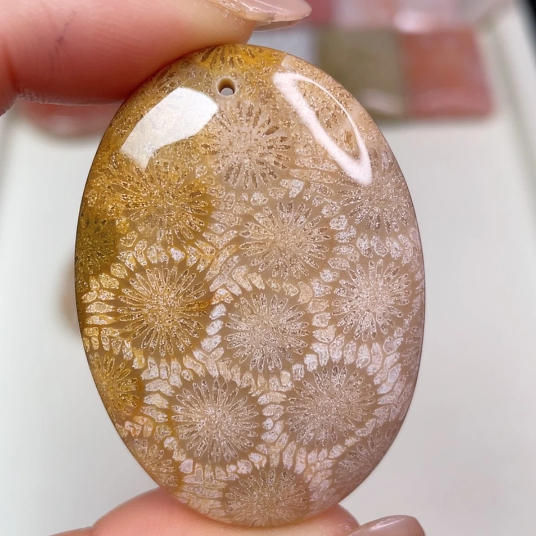 【闪购商品】未镶嵌吊坠(赠链)硅化玉