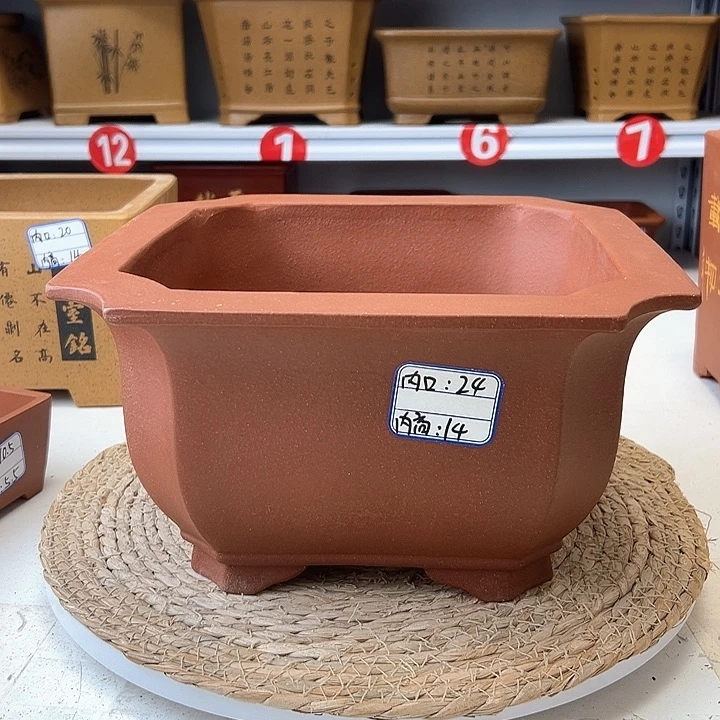 紫砂花盆蛇年大吉