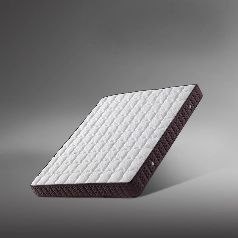 【政府补贴】护脊椰棕防螨床垫弹簧席梦思床垫1.8米家用偏硬【达人】