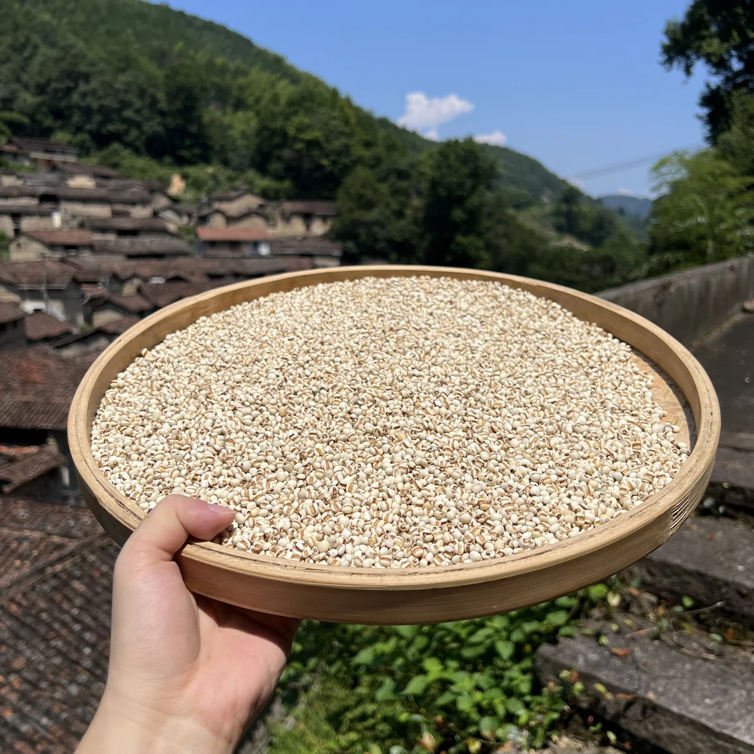 高山 农家日晒薏米