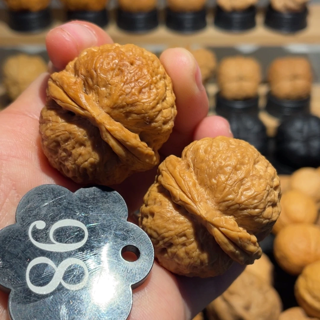 烈焰绣球核桃带彩37