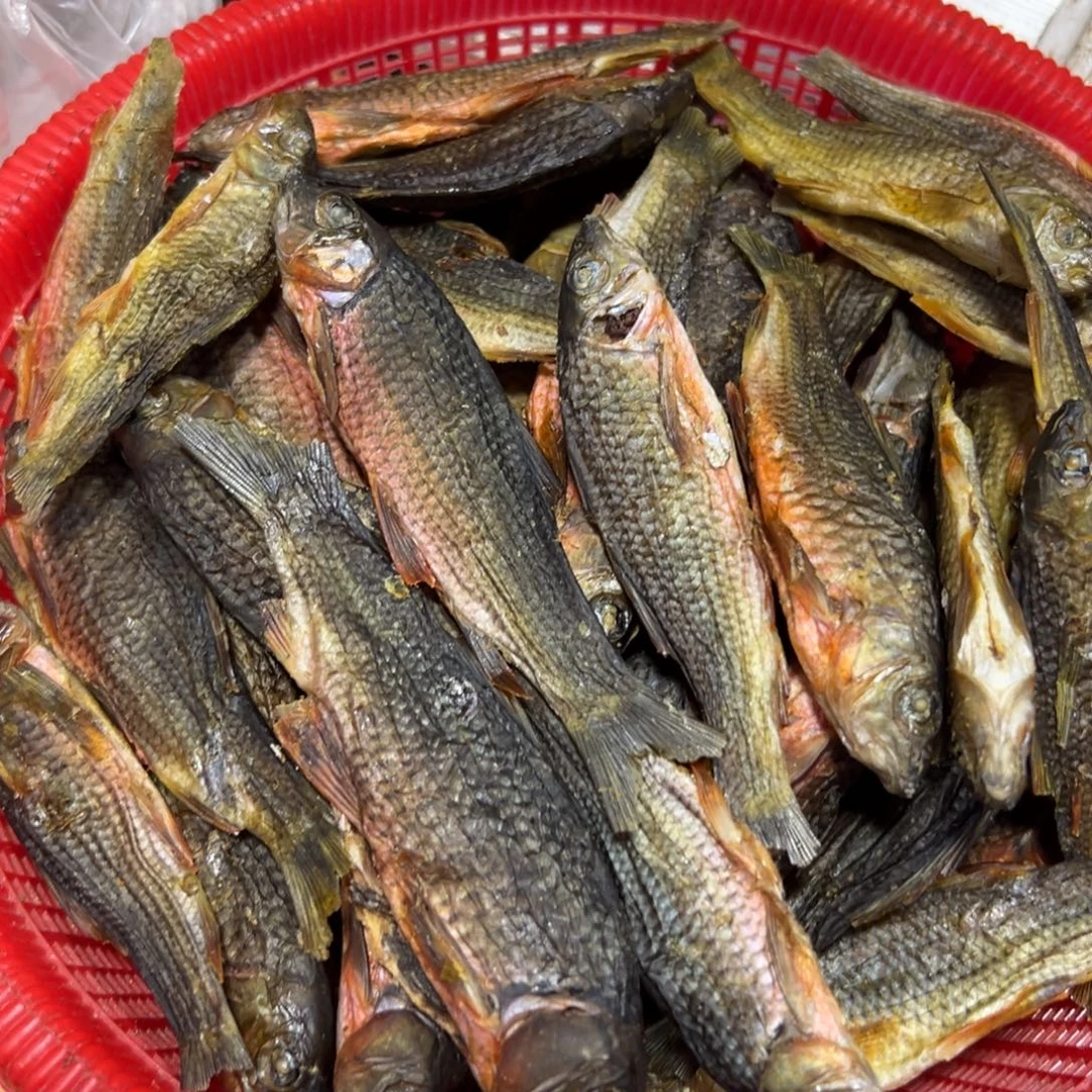 中国大陆红腹石斑鱼干1斤装