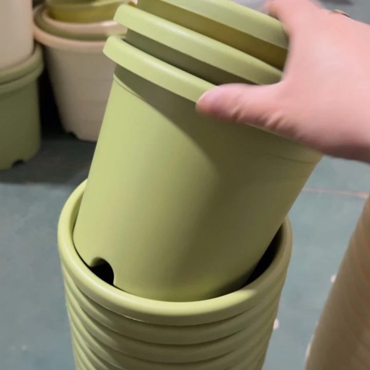 微瑕3#果绿10个无托