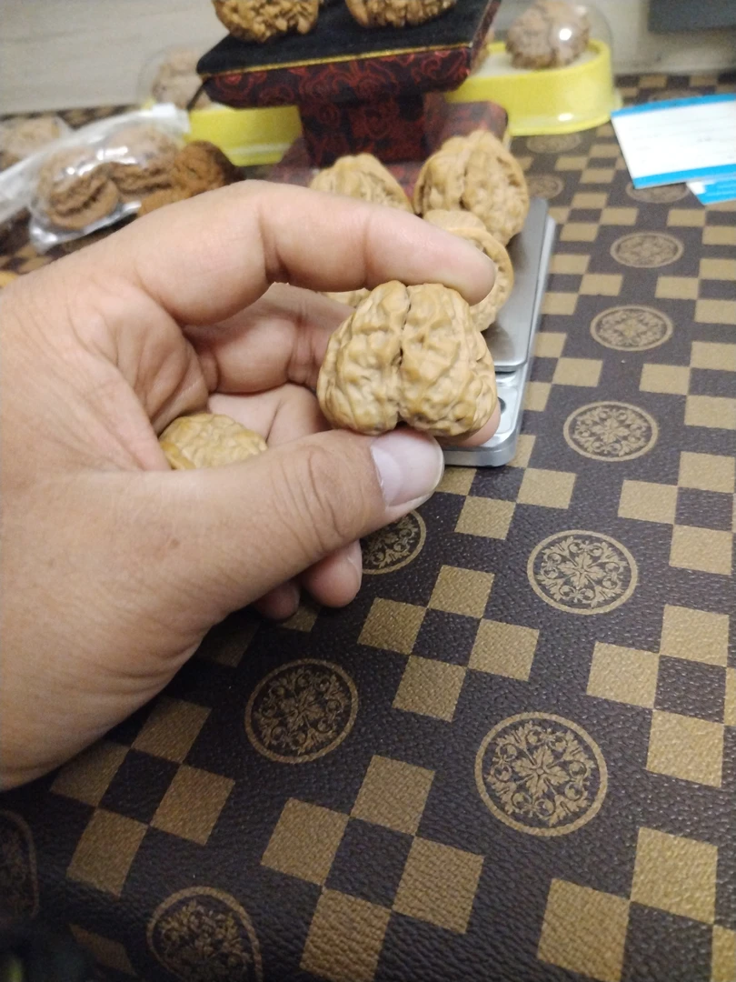 老树蛤蟆头核桃骨质好上色快文玩精品