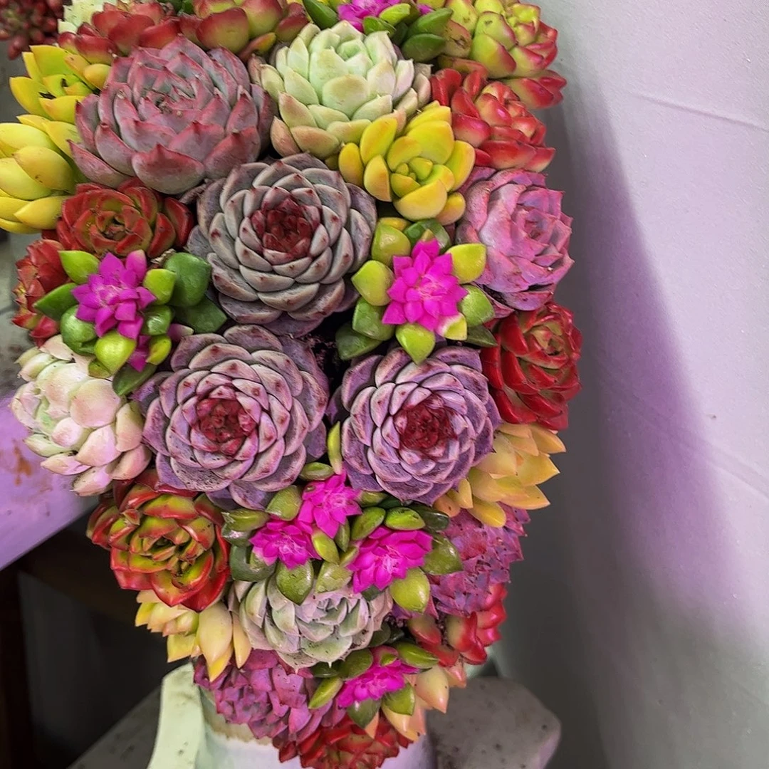 成品懒人彩色盆景