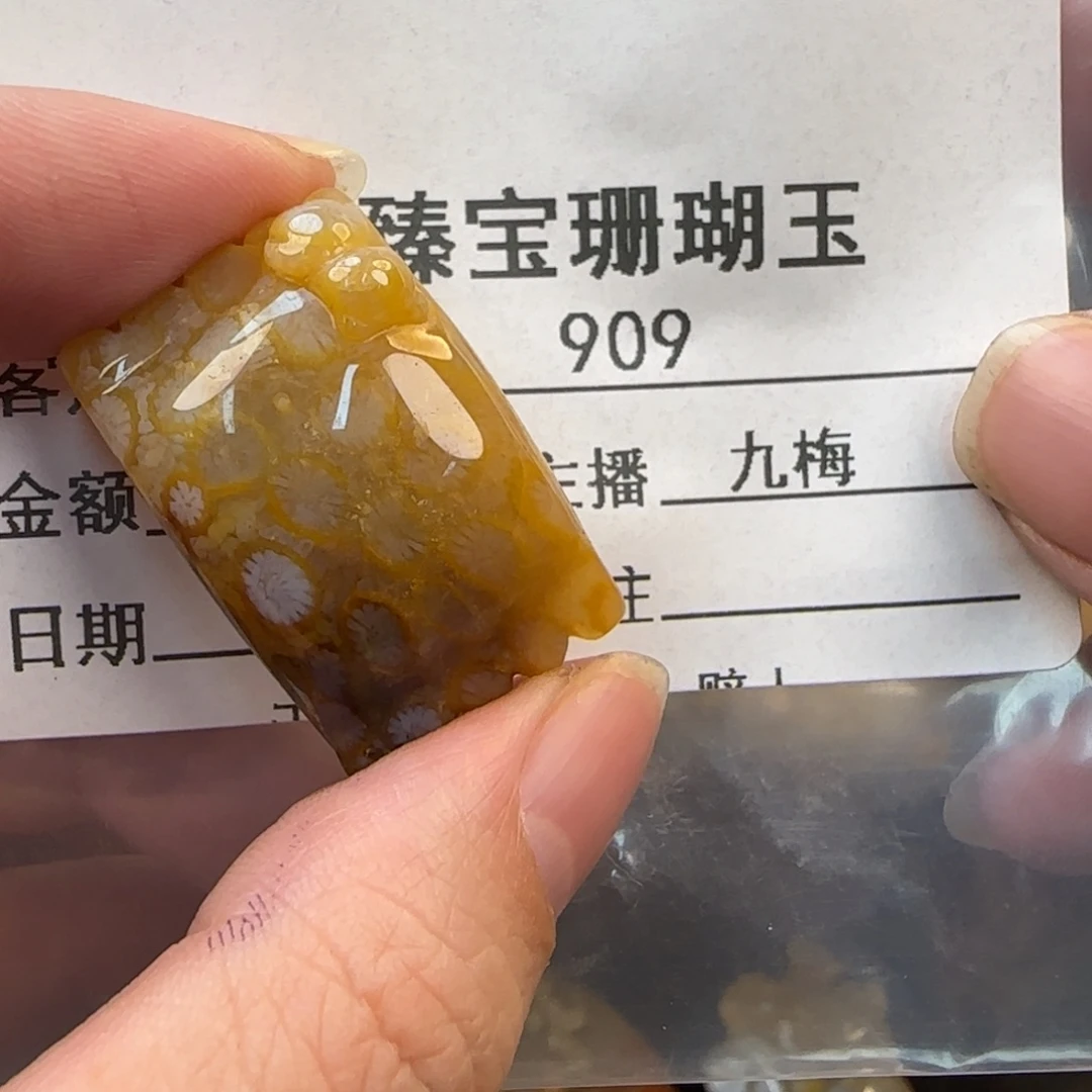硅化珊瑚（珊瑚玉）未镶嵌颈饰