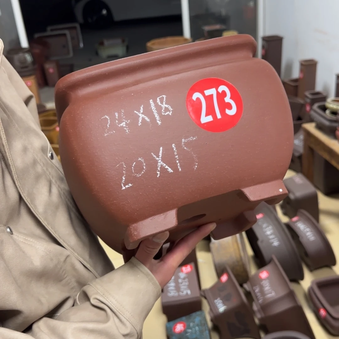 紫砂花盆呜呜呜呜