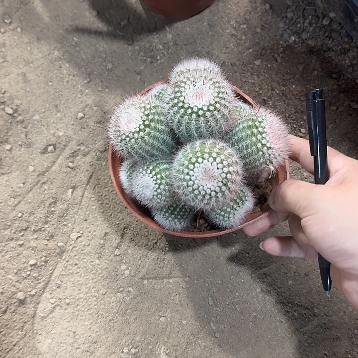 自***在哈哈哈哈哈哈哈哈哈哈
