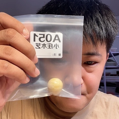 【闪购商品】石英石铁合金051