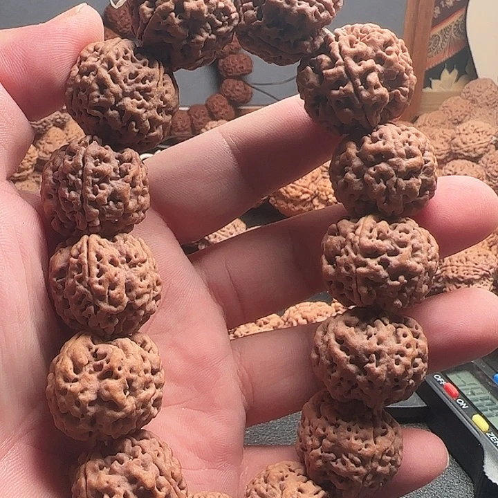 手串金刚菩提25大金刚