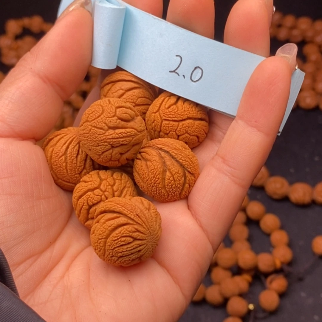 秦岭龙纹桃核13颗