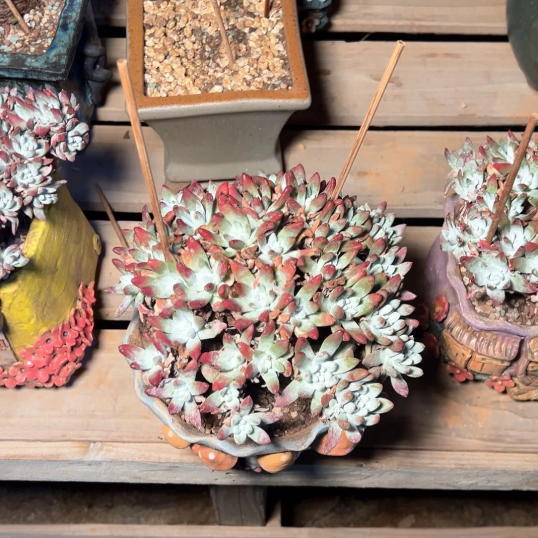 7943哈哈哈哈哈哈哈哈