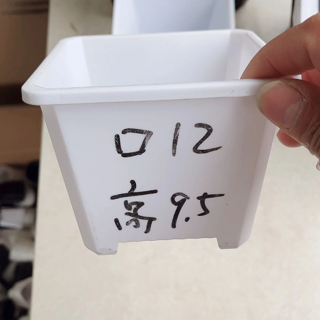 塑料升级款景天12方白色盆10个无托