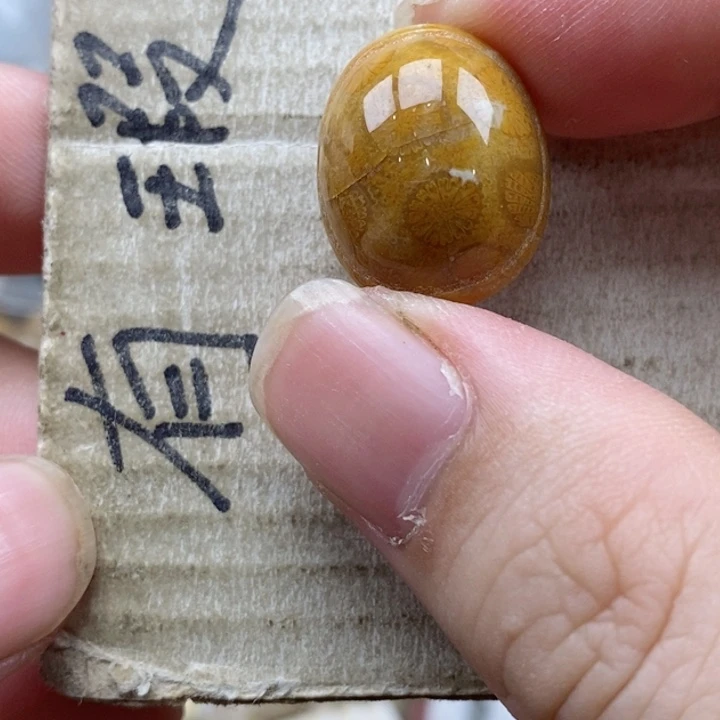 硅化珊瑚（珊瑚玉）未镶嵌颈饰香**王通孔