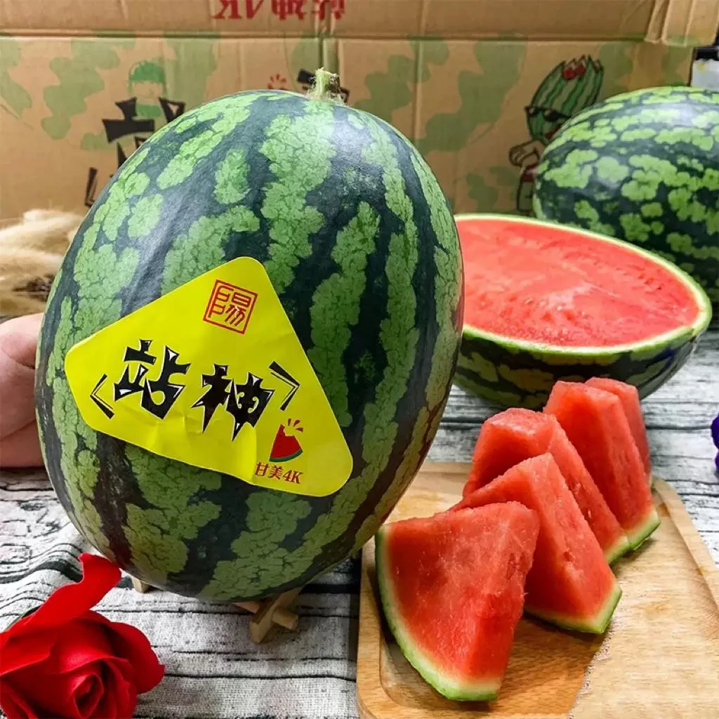 【站神甘美】站神西瓜甘美4K爆甜薄皮无籽肉厚当季时令新鲜水果