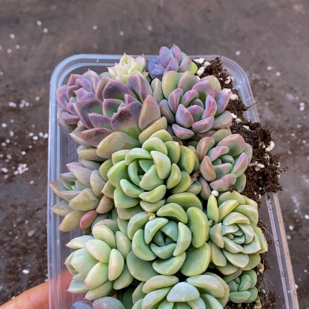 080的人在一起的时候就