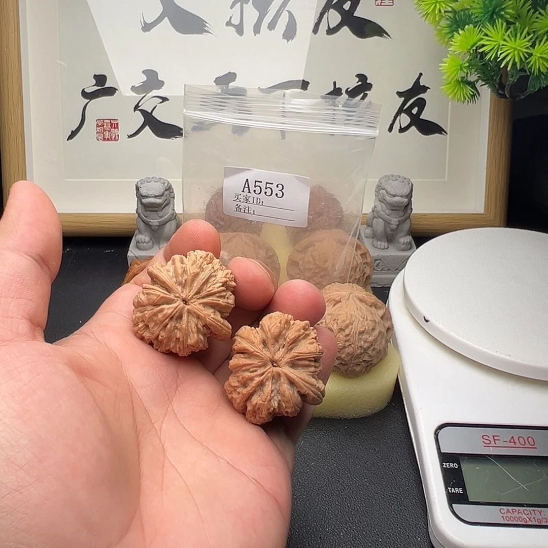A553暴雪35尺全品