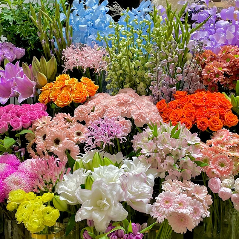 艾莎玫瑰+红玫瑰+香水百合+洋桔梗+配草 云南基地直发鲜花