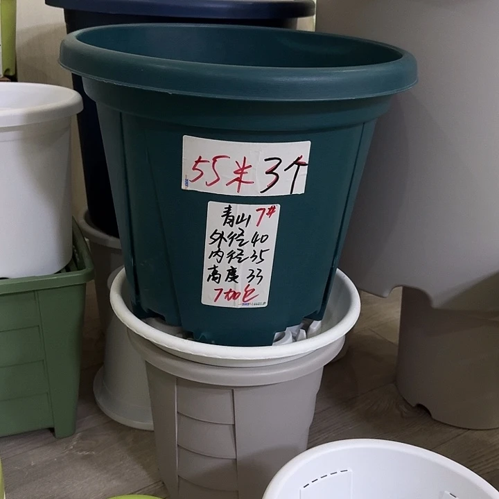 青山7号墨绿5个无托5个