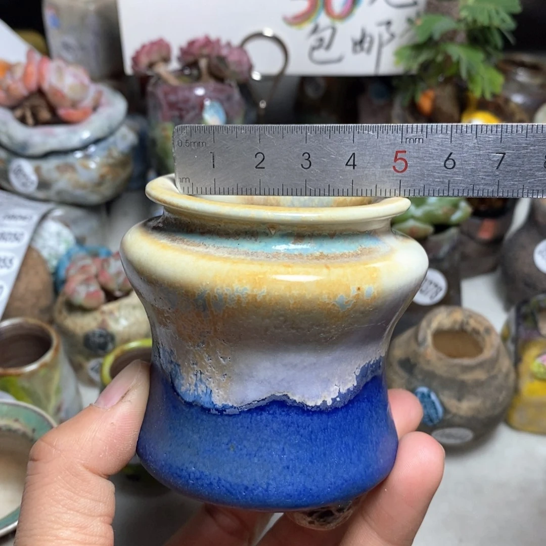花盆拍3送一个小礼物