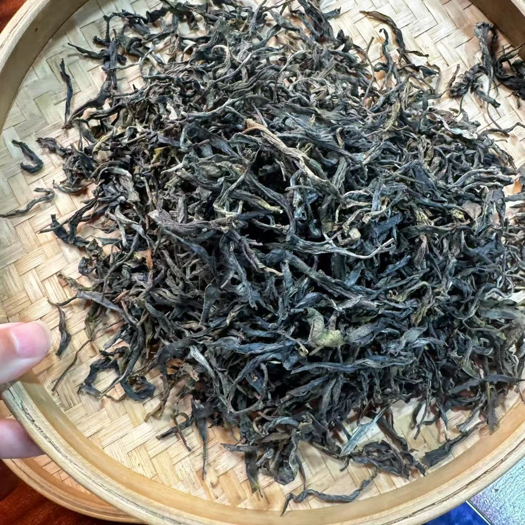 【小刚家的茶】6-25【LC360】2025年纸山箐古树 生散（晒青毛茶）