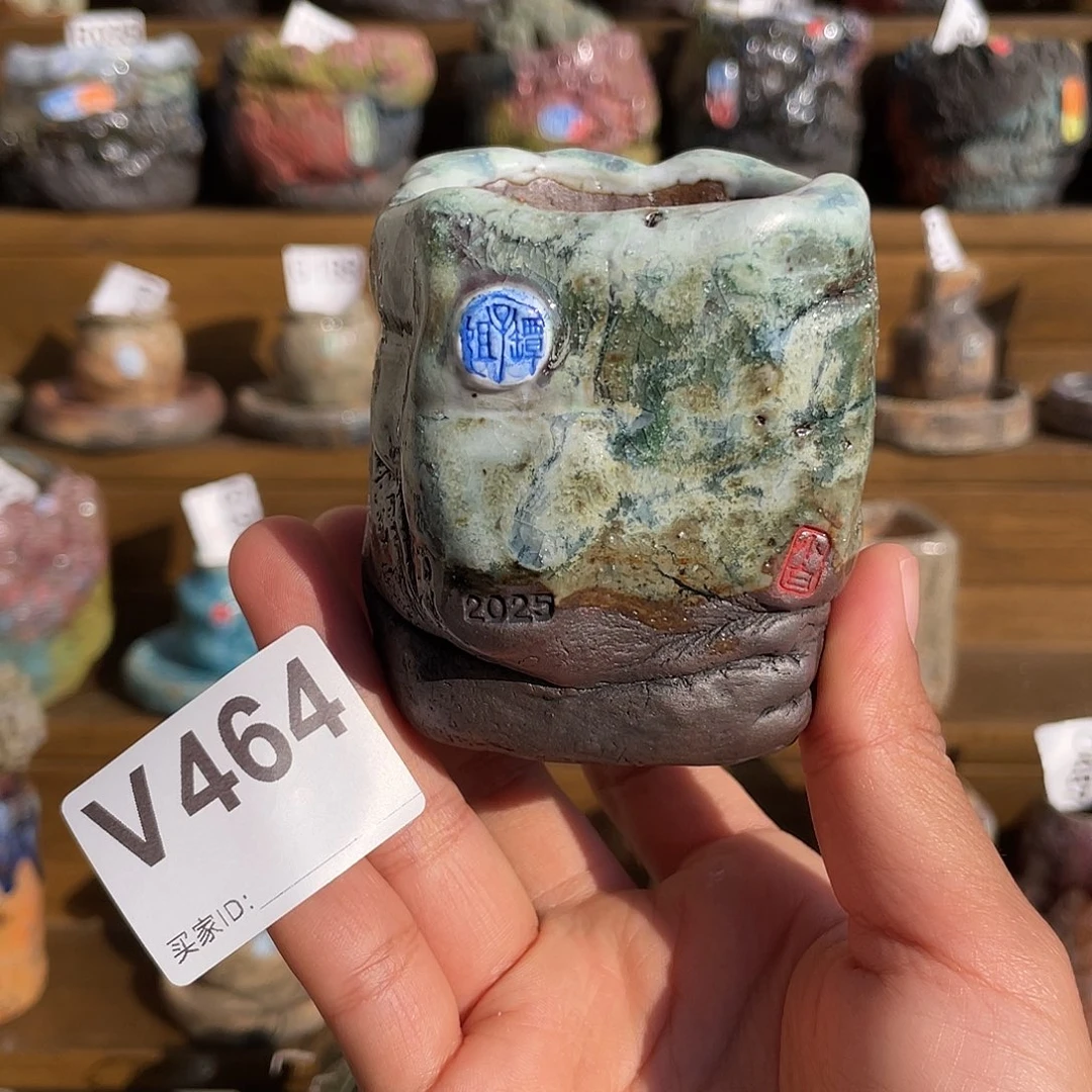 坛子姐花盆 小白孤品  高方内口4.6