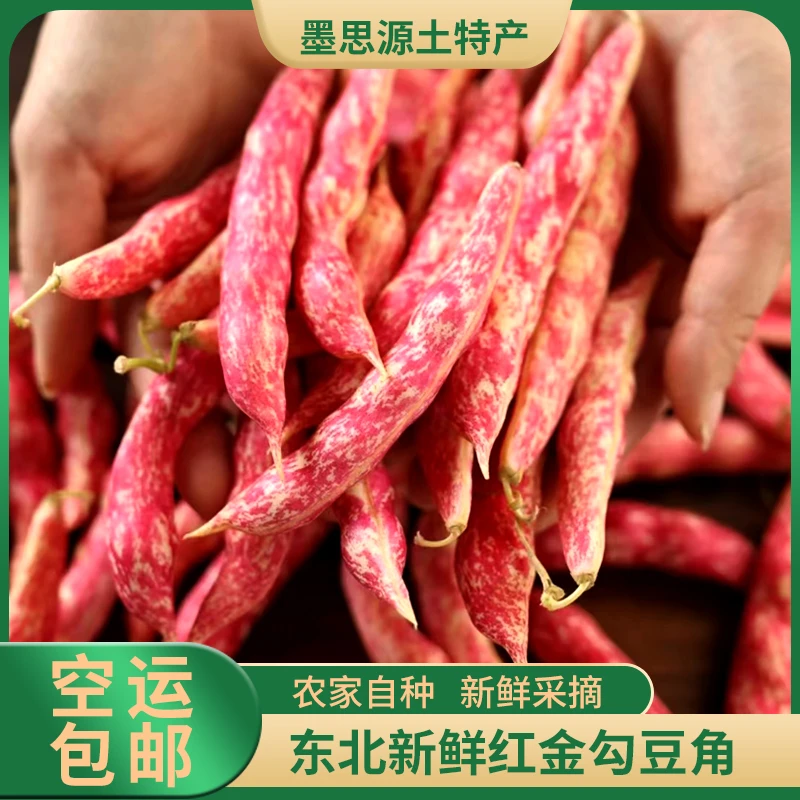 东北红金勾豆角 新鲜红金勾豆角豆大饱满东北特产3/5斤空运包邮