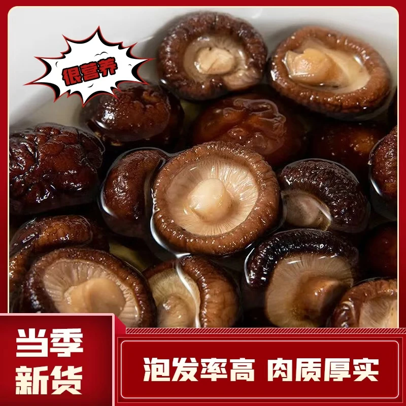 东北特产牧姑娘当季新菇农家头茬香菇干货肉厚剪根无熏无硫礼盒装