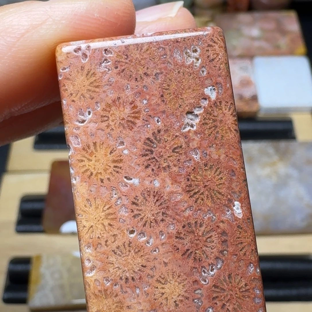 硅化玉带黄的紫红花 骨骼，好盘未镶嵌