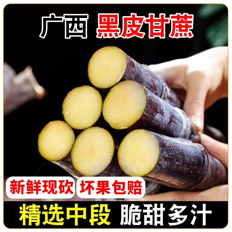 正宗广西黑皮甘蔗中段新鲜水果应当季脆甜果糖蔗榨汁糖浆甜杆整箱