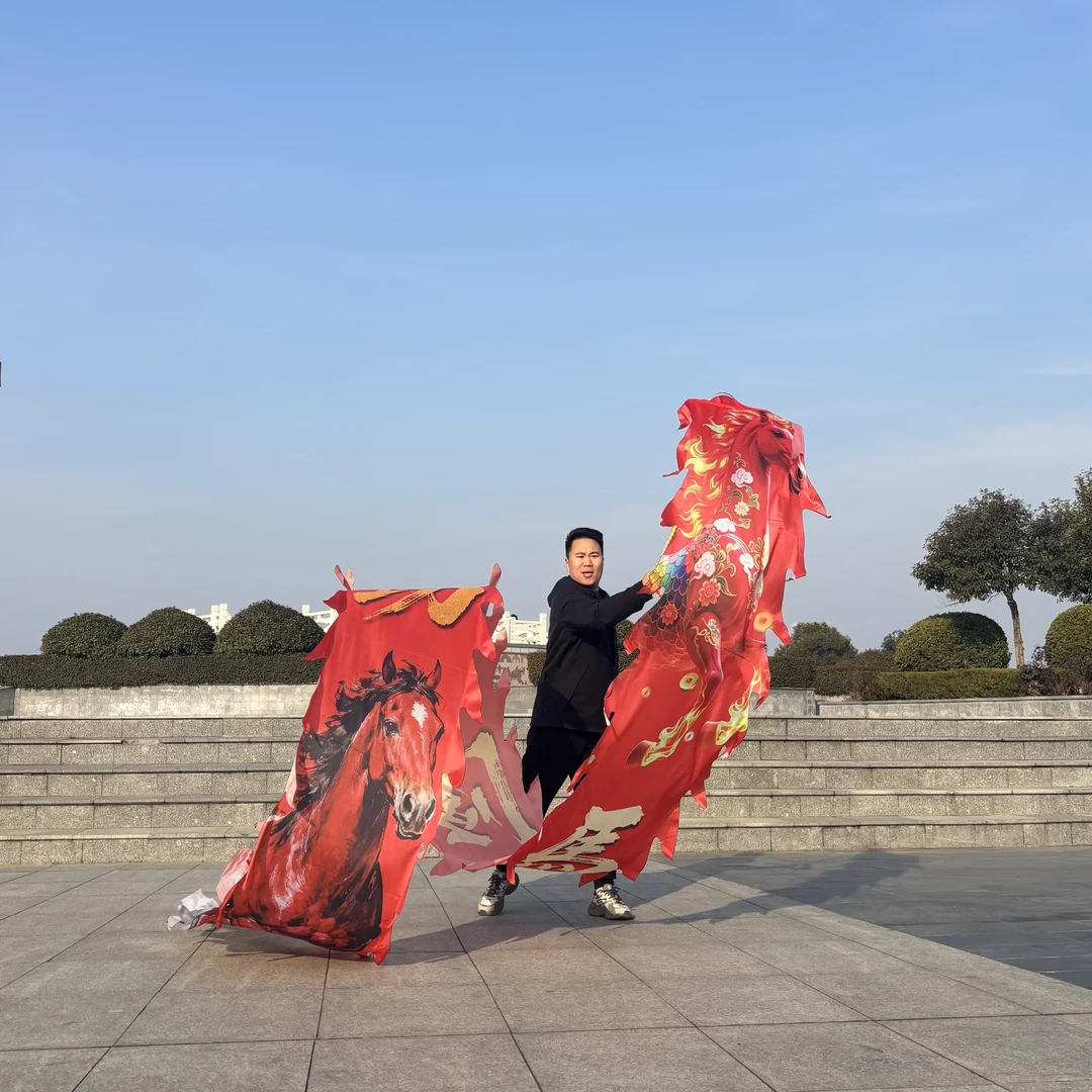 新款马到成功彩带龙可水洗一体舞龙健身龙彩带套装