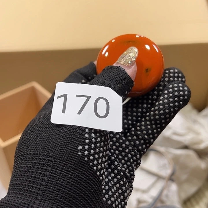 茶宠躺*我的小可爱们都好棒