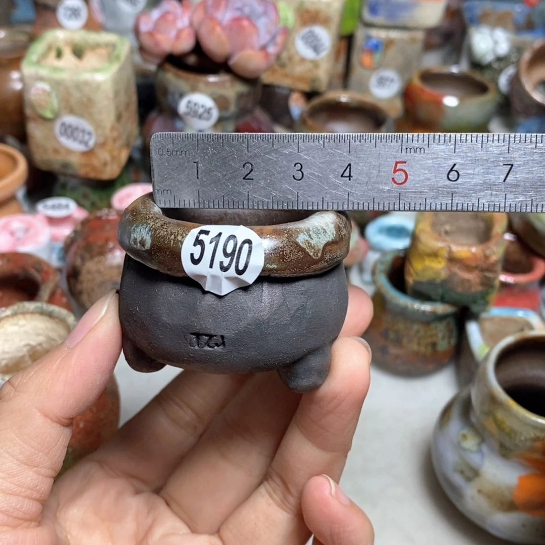 拍3送一个小礼物