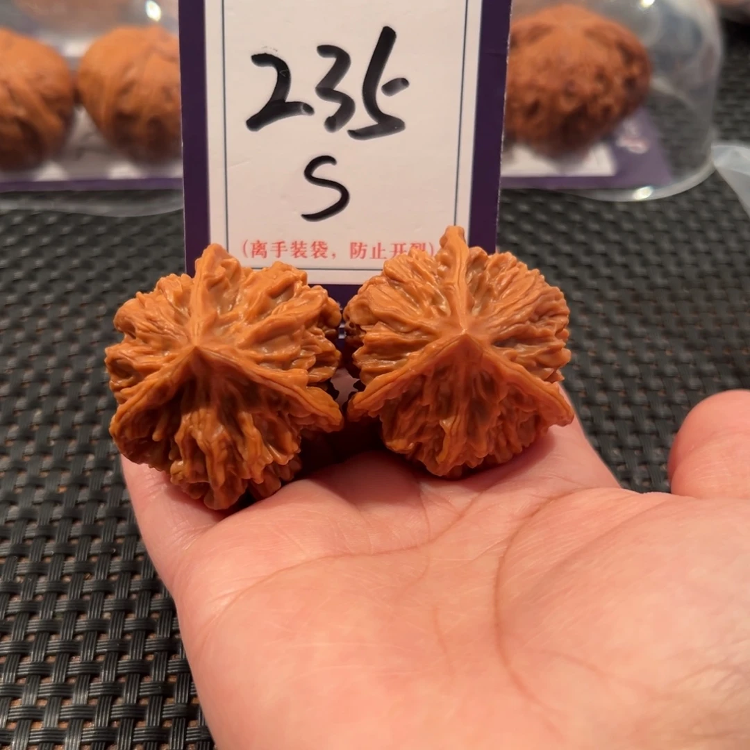 文玩核桃把件235号帝王正奔尺寸41全品