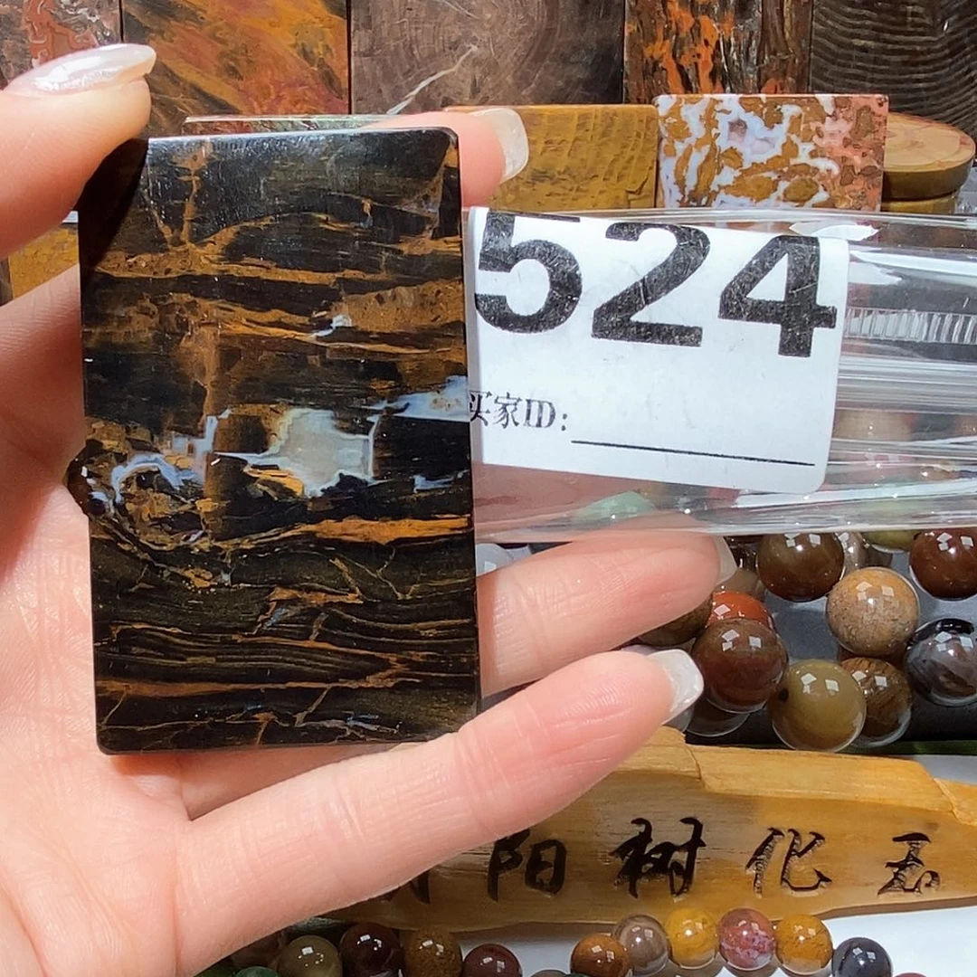 未镶嵌天然北票树化玉吊坠硅化玉