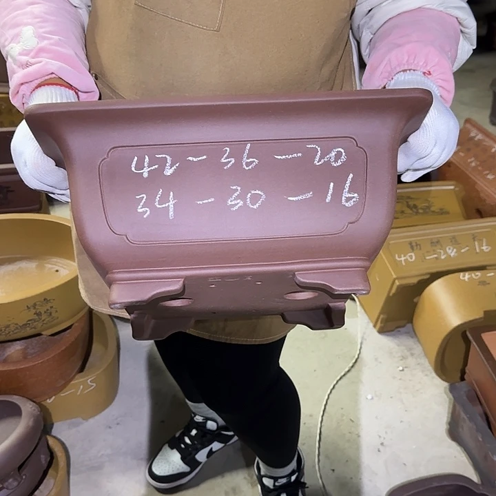 紫砂花盆是因为她