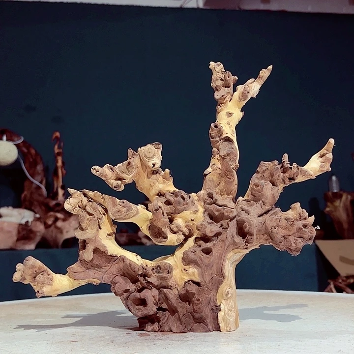 用***1金丝檀509 金丝红木羊蹄甲半成品