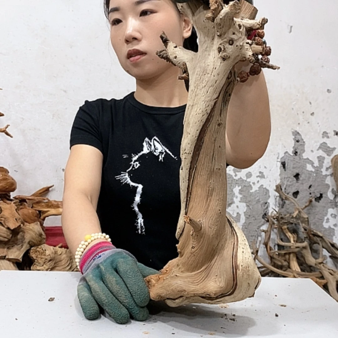 【闪购商品】柏木不****头我们都是好孩子呀