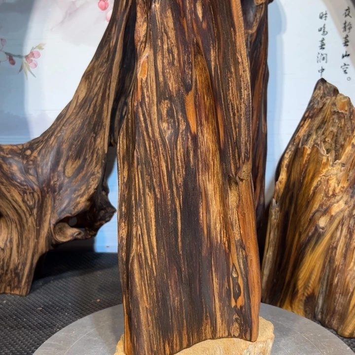 星***地木直播间一物一拍