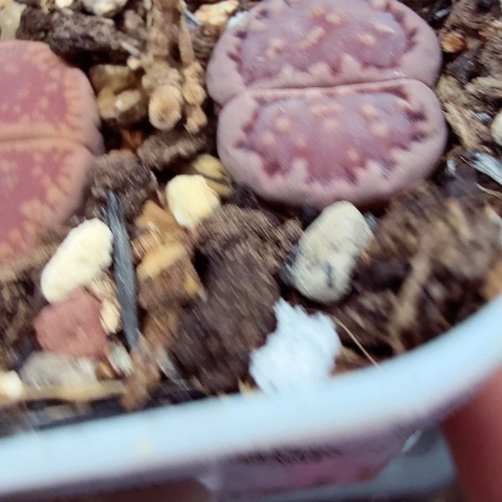 今***天好了就给您说下555好