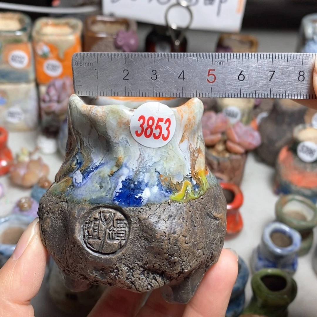 多肉花盆特价不退不换原价32