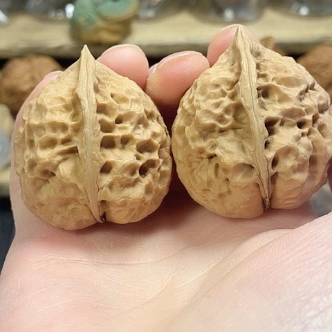 文玩核桃把件学**了圣火令40带彩