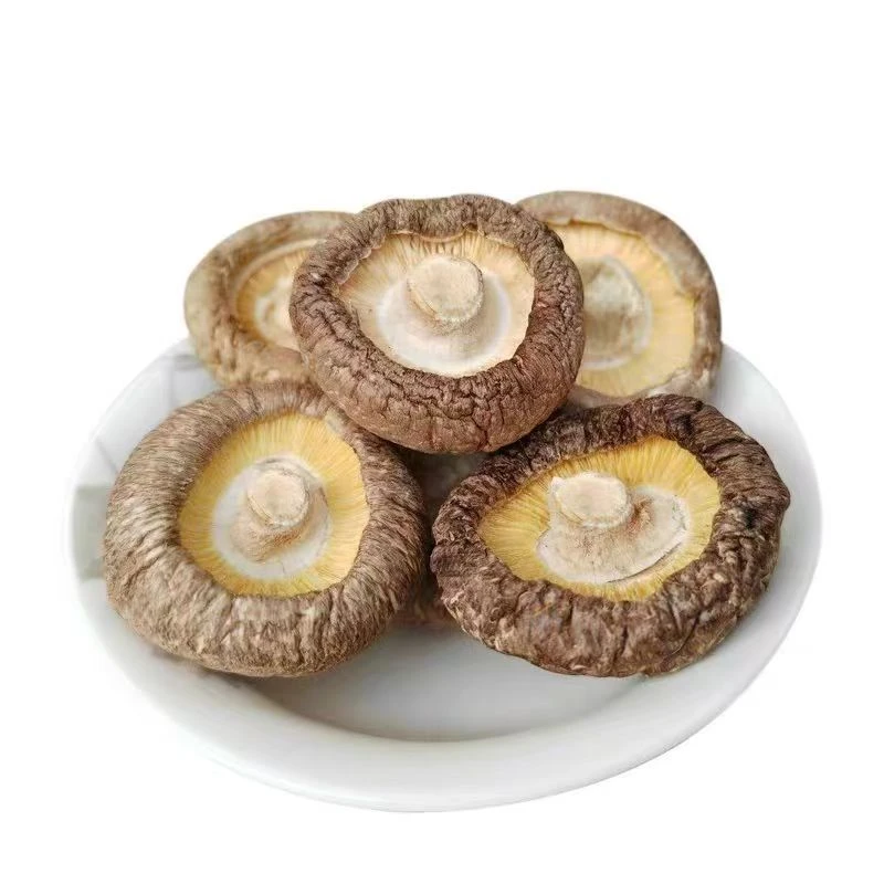 野香菇、甜姐山货、土特产