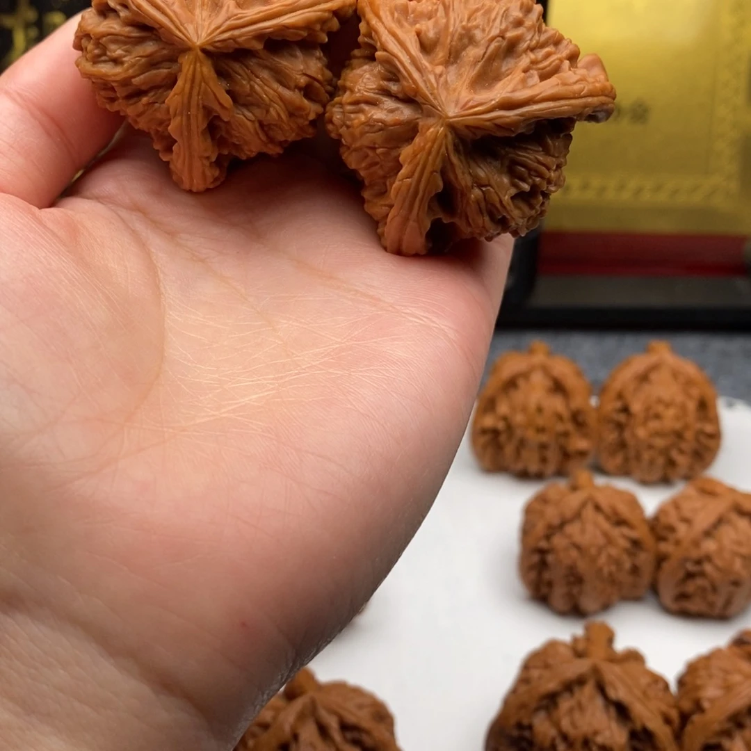 神*白狮子111111112