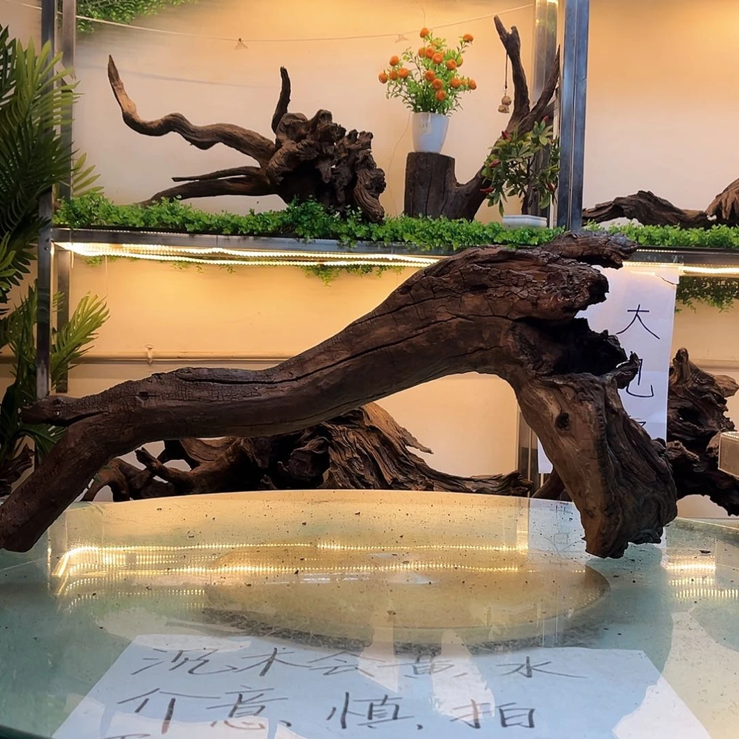 柚木峰*沉木鱼缸造景