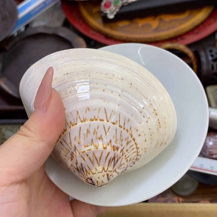 瓷片哦哦哦哦哦哦哦哦