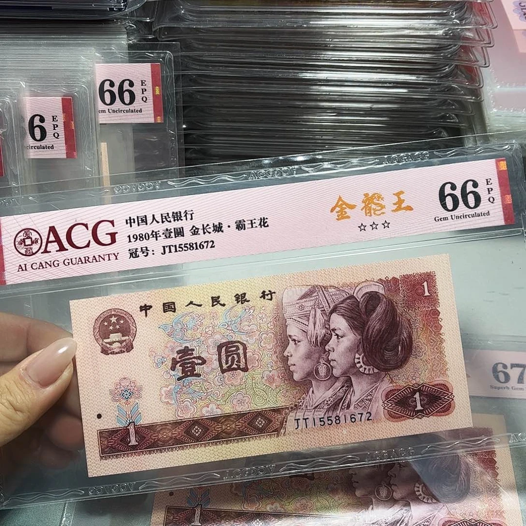 15581672。。。。金龙王