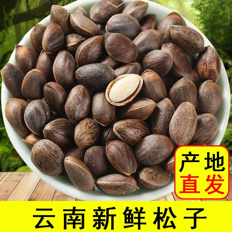 2025年云南新鲜薄壳原味生松子孕妇坚果零食